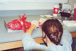 Marine Biology Dissection in Moss Landing Marine Labs; Moss Landing, CA